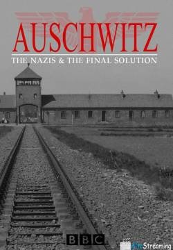 Auschwitz: The Nazis and the 'Final Solution'