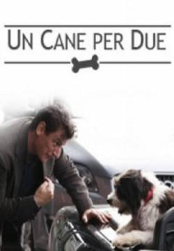 Un cane per due