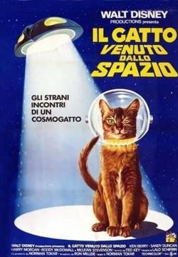 Il gatto venuto dallo spazio